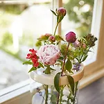 Bed & Breakfast Rochter