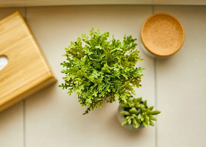 Couette-café Rochter Zeltingen-Rachtig