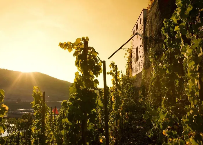 Frühstückspension Rochter 3*